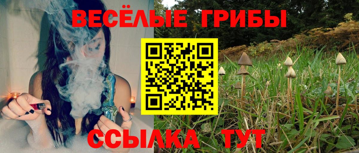 Протвино  Псилоцибиновые грибы Psilocybe  Вход с VPN 