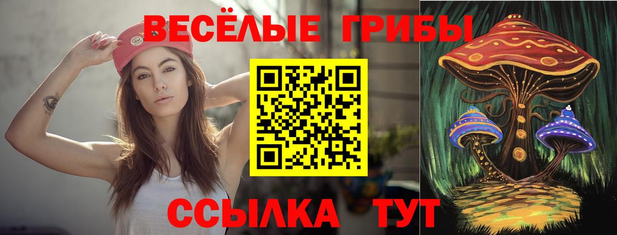Псилоцибиновые грибы Magic Shrooms Протвино