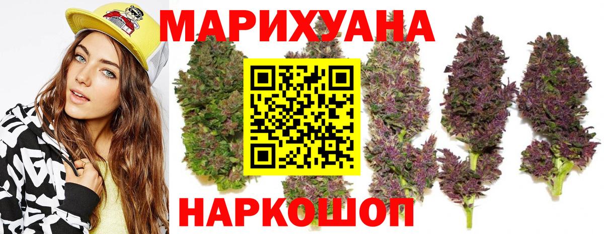 Конопля сатива Протвино